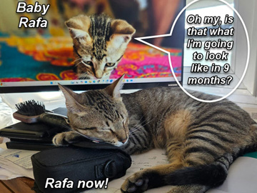 2025-07-23-BabyRafaOnMyScreenLookingAtAdultRafa-02-marker