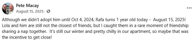2025-08-15-Rafas1YearBDay-01