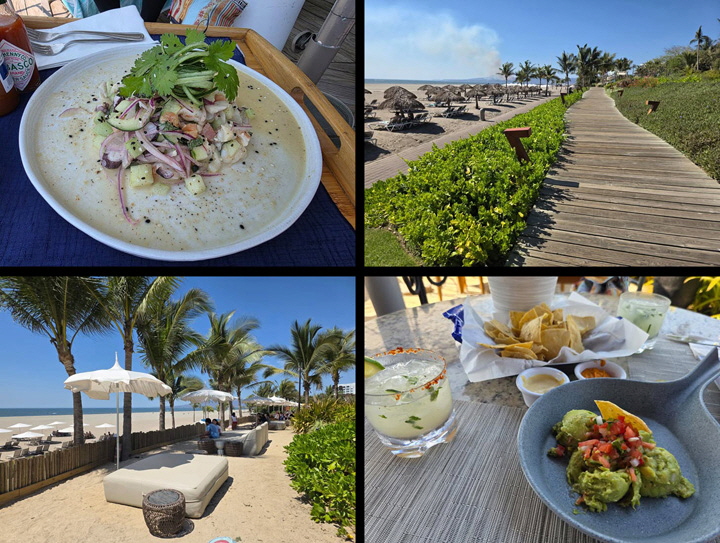 2026-03-20-PuertaVallarta-12
