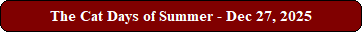 The Cat Days of Summer - Dec 27, 2025