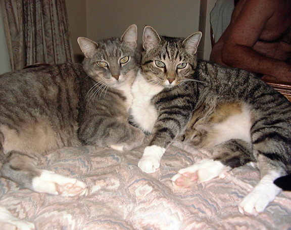 032 - Lorretta and Scarlett1
