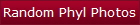 Random Phyl Photos